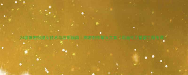 24度锥密封接头技术与应用指南高密封性解决方案石油化工管道工程专用
