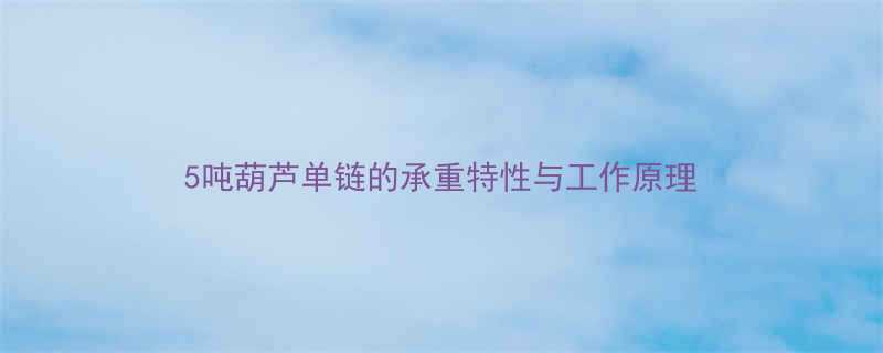 5吨葫芦单链的承重特性与工作原理