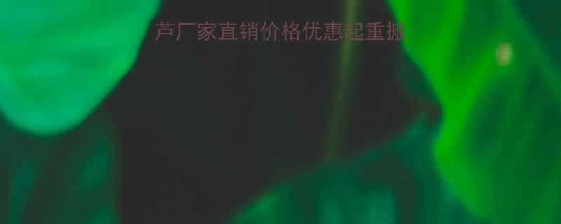 60吨链条电动葫芦厂家直销价格优惠起重搬运设备行业首选品牌