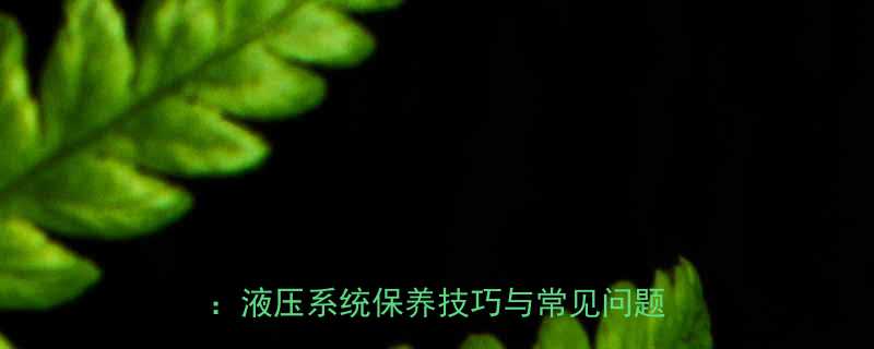 6吨吊车液压油缸维护与故障排除全指南液压系统保养技巧与常见问题解决方案