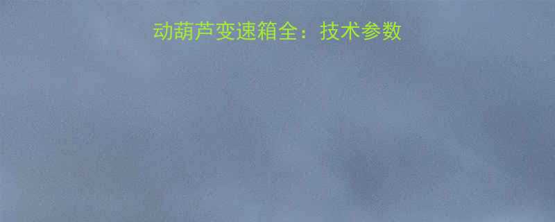 PA1000微型电动葫芦变速箱全技术参数应用场景与选型指南