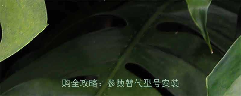 SKFNUP315ECML轴承选购全攻略参数替代型号安装维护指南