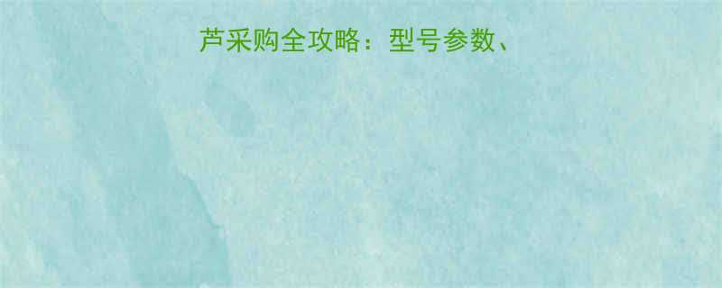 hhbb环链电动葫芦采购全攻略：型号参数、应用场景与选型技巧