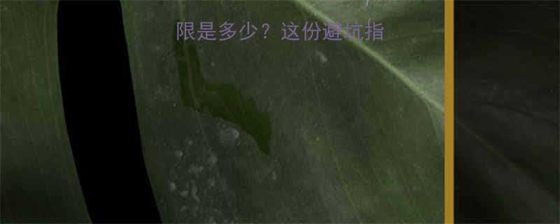 电动葫芦吊重上限是多少这份避坑指南让你安全又省心