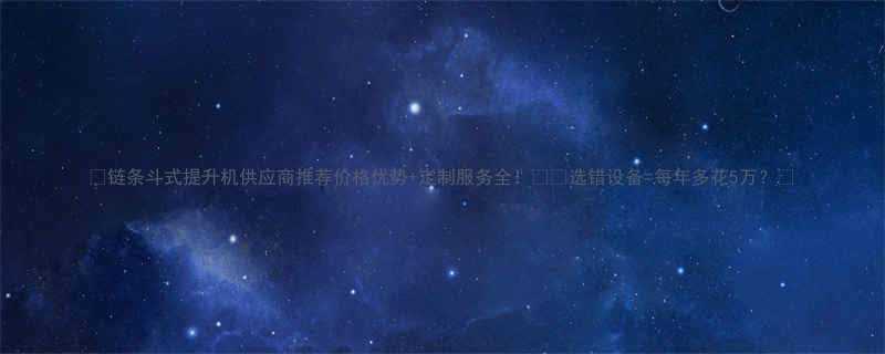 链条斗式提升机供应商推荐价格优势定制服务全选错设备每年多花5万