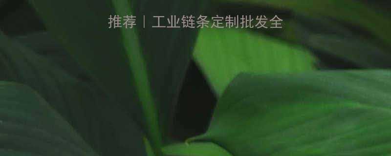 专业进口链条公司推荐工业链条定制批发全攻略附采购指南