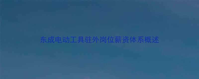 东成电动工具驻外岗位薪资体系概述