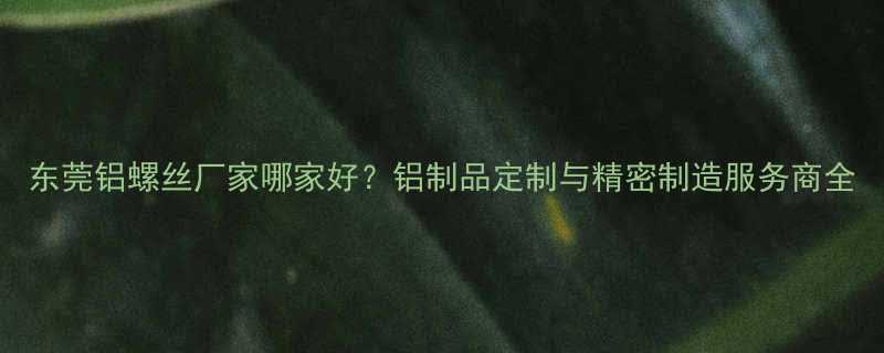 东莞铝螺丝厂家哪家好铝制品定制与精密制造服务商全