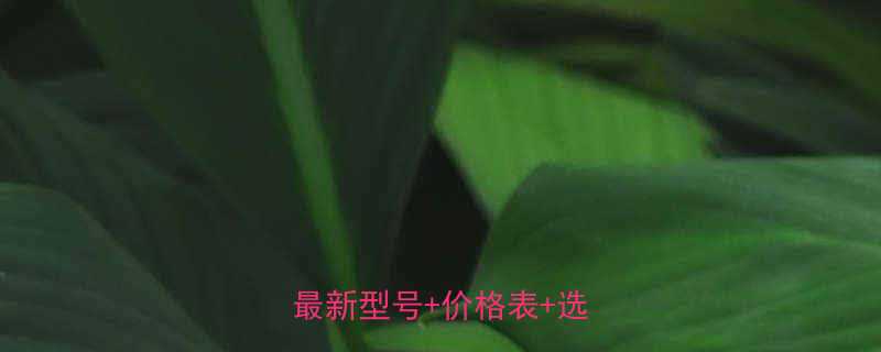 临沂沪工手拉葫芦厂家直销最新型号价格表选购指南