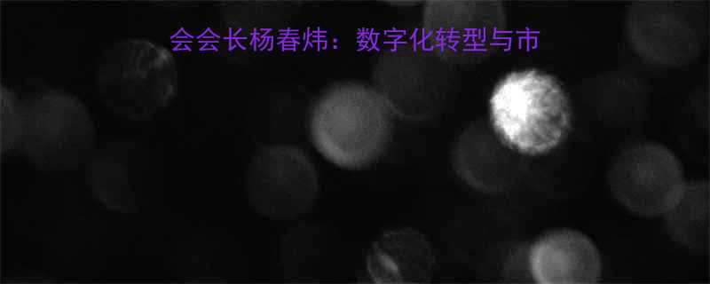 五金行业领航者｜五金商会会长杨春炜：数字化转型与市场拓展双轮驱动发展新路径