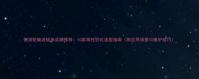 侧滚轮输送链条品牌推荐10款高性价比选型指南附应用场景与维护技巧