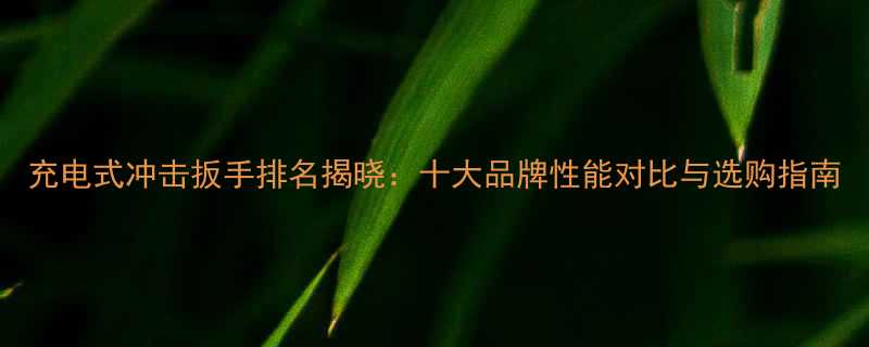 充电式冲击扳手排名揭晓十大品牌性能对比与选购指南