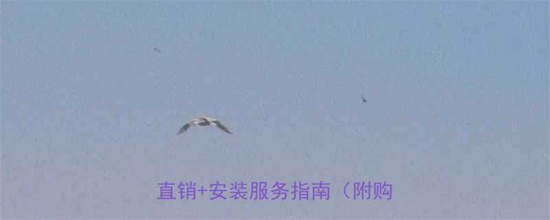 北京手拉葫芦哪里能买到本地厂家直销安装服务指南附购买攻略