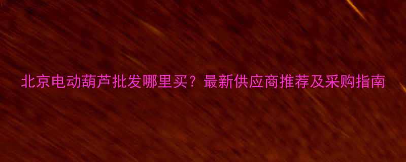 北京电动葫芦批发哪里买最新供应商推荐及采购指南