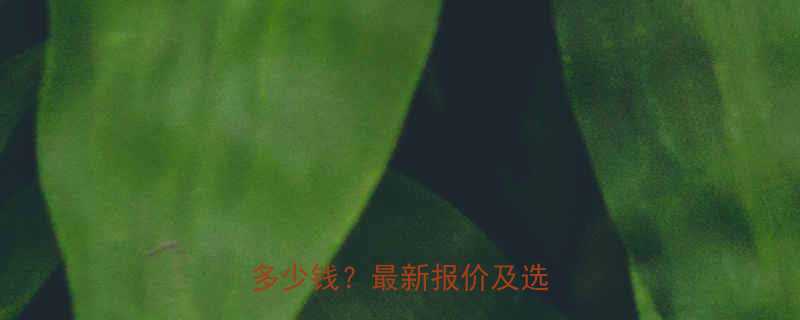 南通螺旋给料机厂家直销价格多少钱最新报价及选购指南