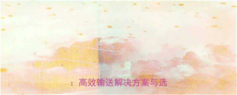 双链条板链输送线工业应用全高效输送解决方案与选型指南