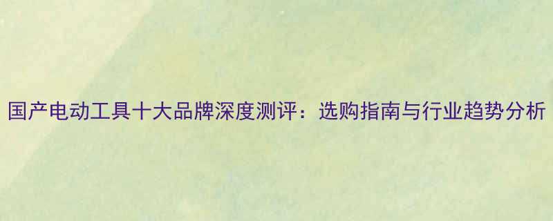 国产电动工具十大品牌深度测评选购指南与行业趋势分析
