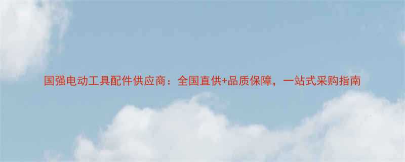 国强电动工具配件供应商全国直供品质保障一站式采购指南