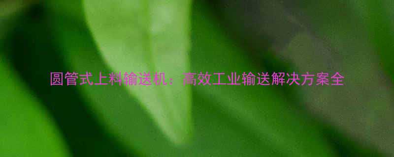 圆管式上料输送机高效工业输送解决方案全