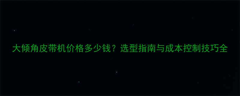 大倾角皮带机价格多少钱？选型指南与成本控制技巧全