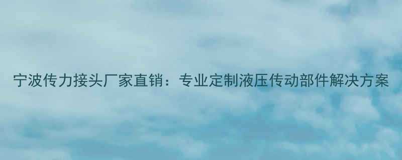 宁波传力接头厂家直销：专业定制液压传动部件解决方案