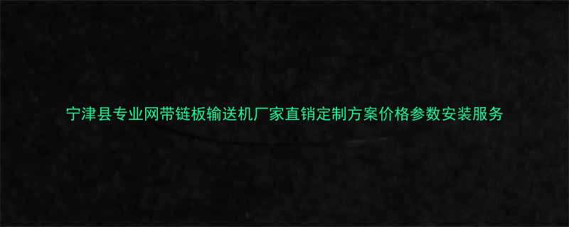 宁津县专业网带链板输送机厂家直销定制方案价格参数安装服务