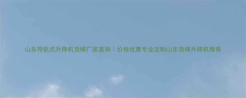 山东导轨式升降机货梯厂家直销价格优惠专业定制山东货梯升降机推荐