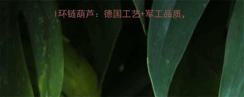 工业葫芦选购指南Stahl环链葫芦德国工艺军工品质如何选对安全lifter