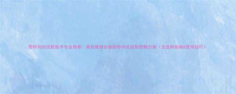 带转向的扭矩扳手专业推荐：高效维修必备的转向式扭矩控制方案（含选购指南&使用技巧）