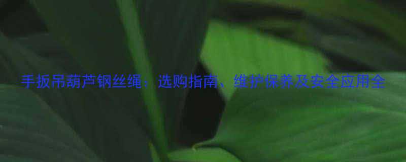 手扳吊葫芦钢丝绳：选购指南、维护保养及安全应用全
