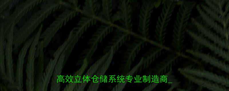 托盘垂直输送机定制解决方案供应商_高效立体仓储系统专业制造商_XX工厂