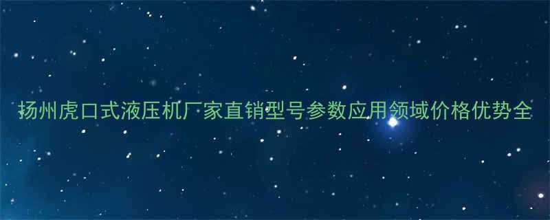 扬州虎口式液压机厂家直销型号参数应用领域价格优势全