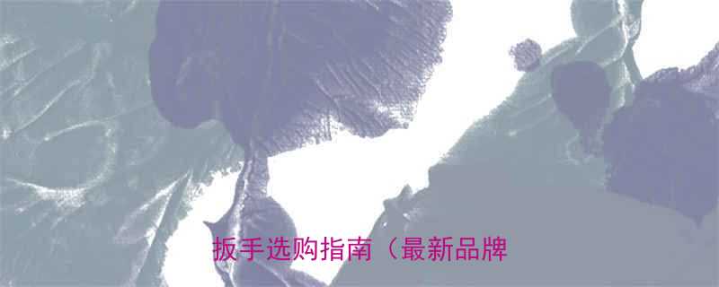 扭力扳手套装推荐高性价比筒扳手选购指南最新品牌测评