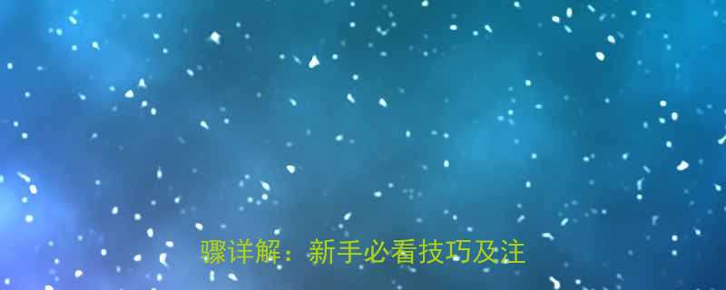 扭力扳手正确使用方法与操作步骤详解新手必看技巧及注意事项