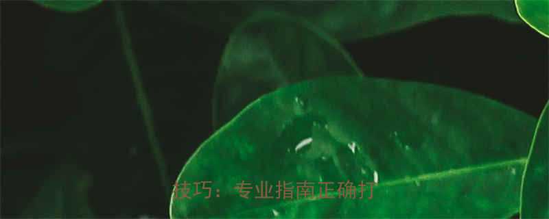 接钢丝绳的套详细步骤与安全技巧专业指南正确打结方法