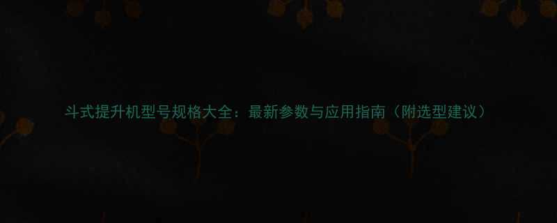 斗式提升机型号规格大全最新参数与应用指南附选型建议