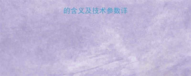 斗提机型号NE的含义及技术参数详解附应用场景