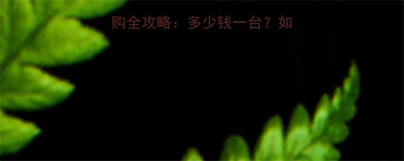 最新造雪机价格及选购全攻略多少钱一台如何选到高性价比设备