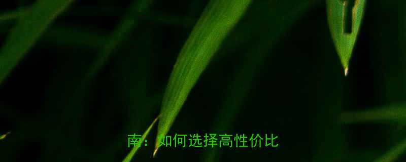 最新钢丝绳厂家排名及直销指南如何选择高性价比供应商