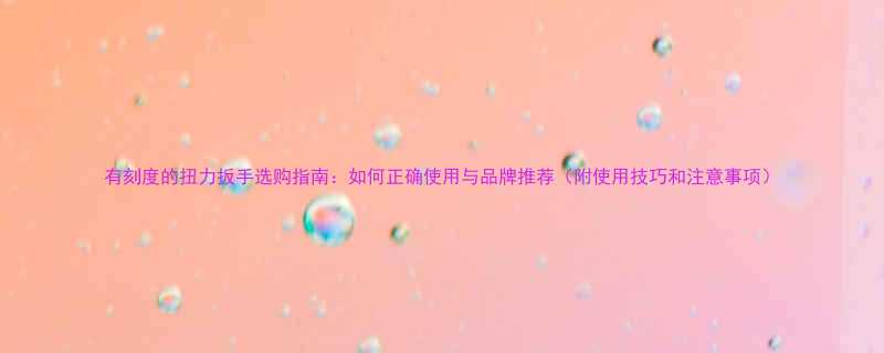 有刻度的扭力扳手选购指南如何正确使用与品牌推荐附使用技巧和注意事项