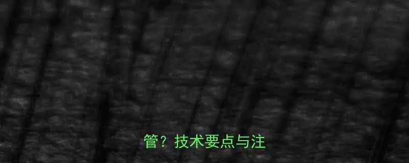 柔性接头能否安装于立管技术要点与注意事项