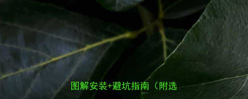 欧式T型电缆接头后堵头尺寸详解图解安装避坑指南附选购技巧