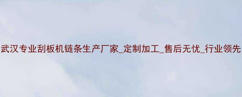 武汉专业刮板机链条生产厂家定制加工售后无忧行业领先