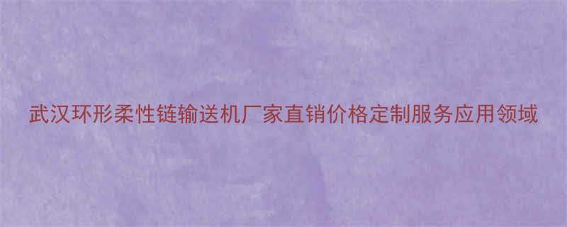 武汉环形柔性链输送机厂家直销价格定制服务应用领域