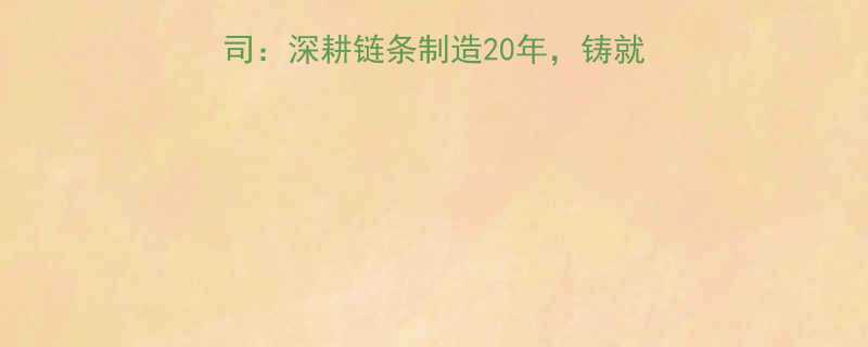 江苏大力链条有限公司深耕链条制造20年铸就工业传动领域标杆品牌