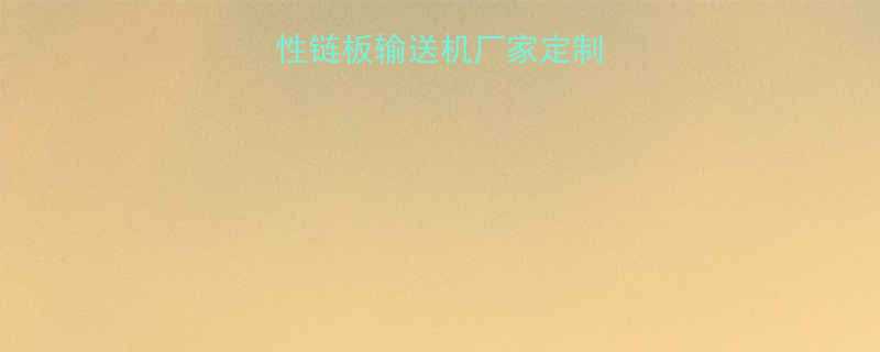 沈阳专业生产柔性链板输送机厂家定制解决方案价格透明