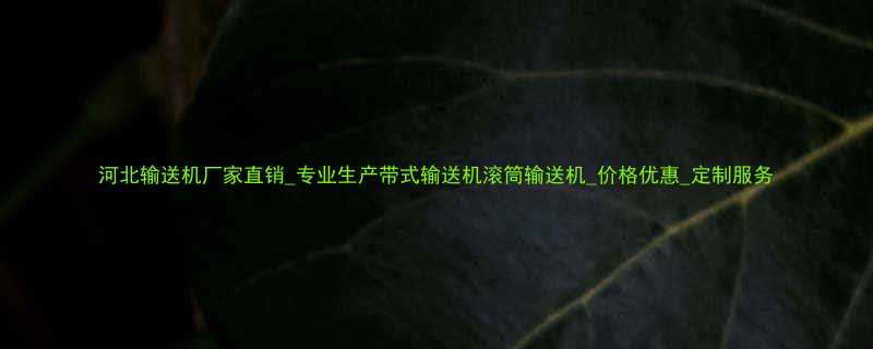 河北输送机厂家直销_专业生产带式输送机滚筒输送机_价格优惠_定制服务