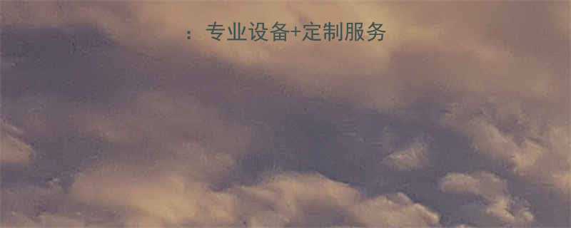 济宁吊车厂家推荐专业设备定制服务助力企业高效作业