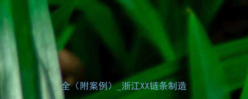 浙江非标链条定做厂家定制流程材质价格全附案例浙江XX链条制造有限公司