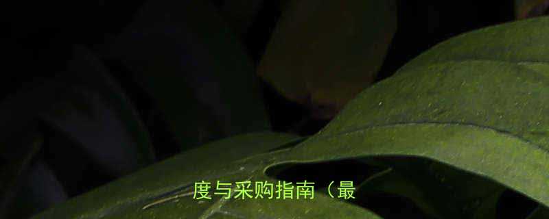 海口五金工具批发行业深度与采购指南最新版